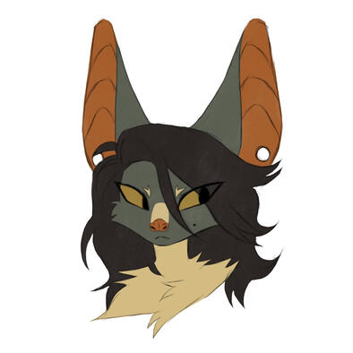 comm @/coconutbats